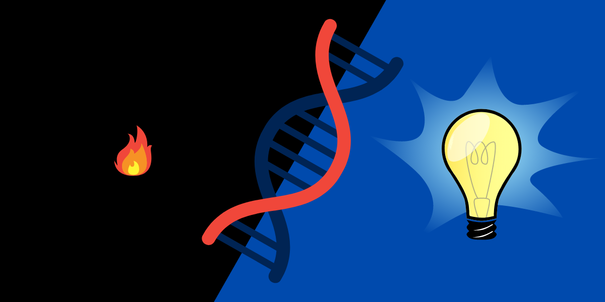 Plos Biology