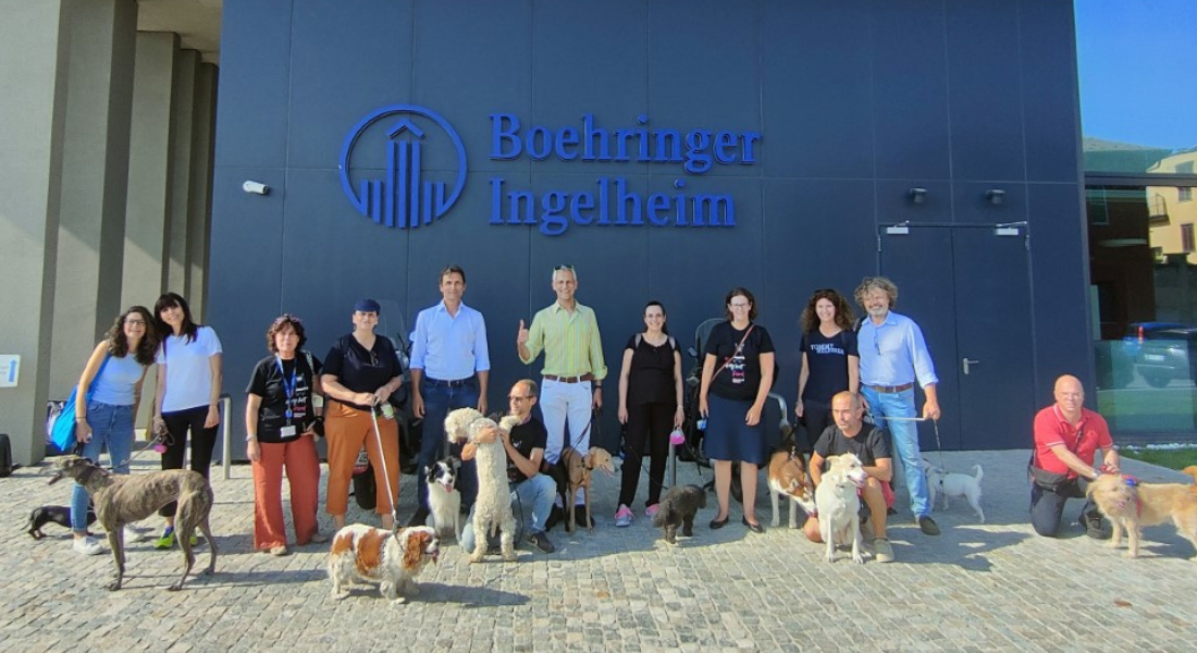 Dogs@Work